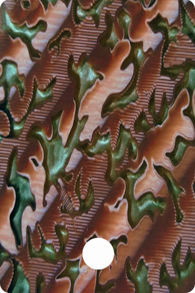 PWA03-06 front image