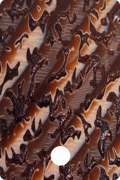 PWA03-09 front image