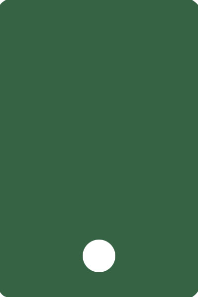 YHDB0196 front image