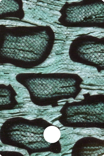 CWAA41-03 front image