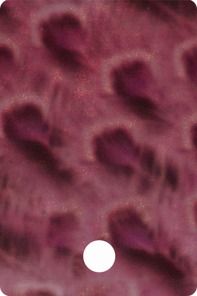 YCF23-01 front image