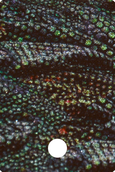 YCF28-02 front image